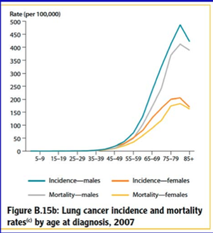 SH/Lectures/COPD & lung cancer - StudyingMed